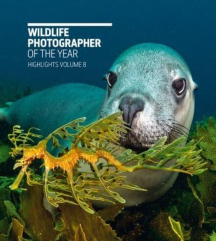 Wildlife Photographer Of The Year