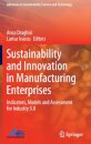 Sustainability and Innovation in Manufacturing Enterprises