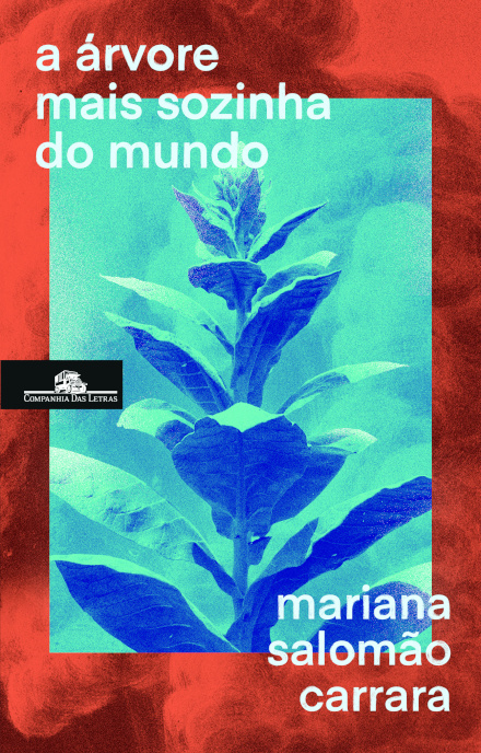 A árvore mais sozinha do mundo