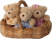 Teddy Bears' Picnic