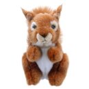 Squirrel (Red) Soft Toy