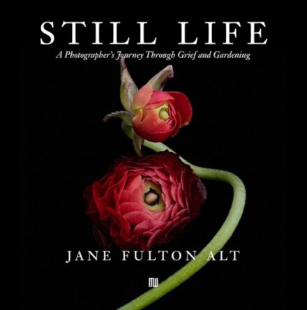 Jane Fulton Alt: Still Life