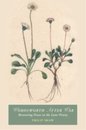 Wordsworth After War