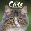 Love Of Cats Square Wall Sunday Start Ca