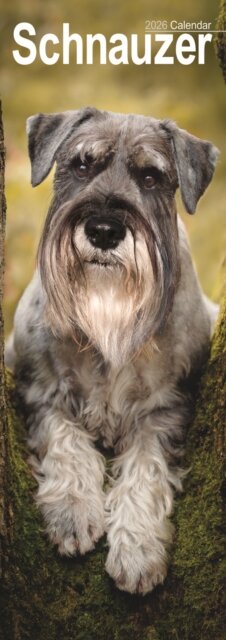 Schnauzer Slim Calendar 2026  Dog Breed Slimline Calendar - 12 Month