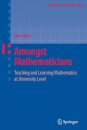 Amongst Mathematicians