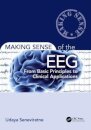 Making Sense of the EEG