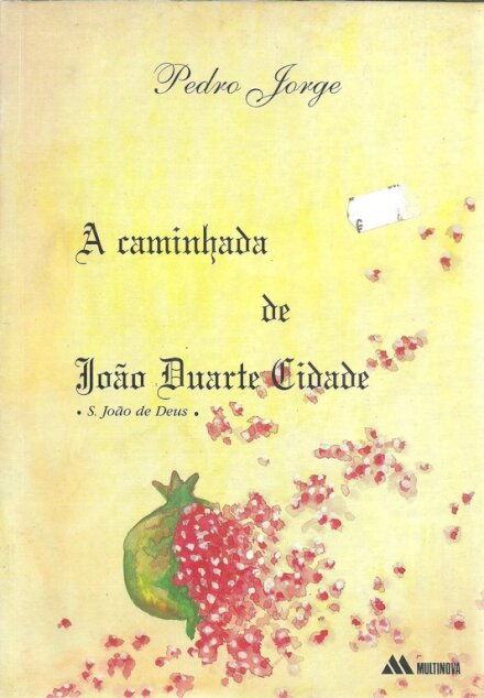 A Caminhada de João Duarte Cidade