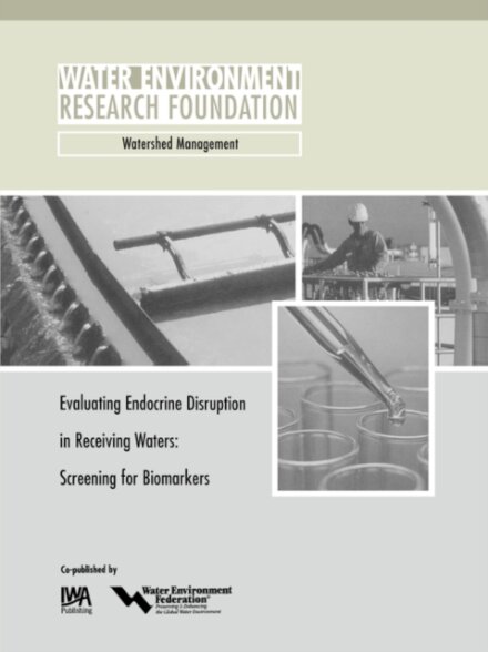 Evaluating Endocrine Disruption in Receiving Waters