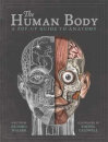 The Human Body: A Pop Up Guide