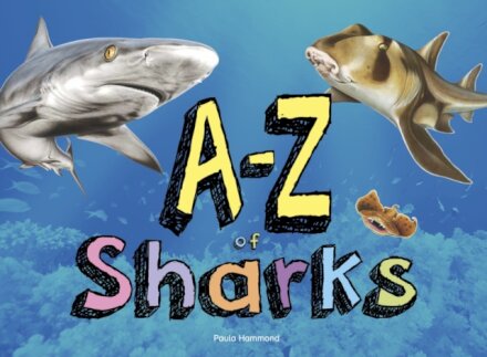 A–Z of Sharks