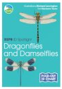 RSPB ID Spotlight - Dragonflies and Damselflies