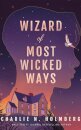 Wizard of Most Wicked Ways