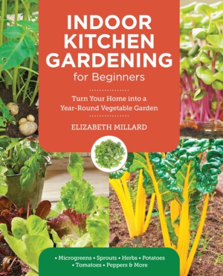 Indoor Kitchen Gardening for Beginners