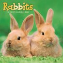 Rabbits Square Wall Sunday Start Calenda