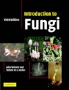 Introduction to Fungi