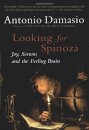 Looking For Spinoza