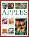 Illustrated World Encyclopedia of Apples