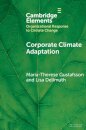 Corporate Climate Adaptation