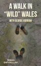 A Walk in "Wild" Wales with George Borrow