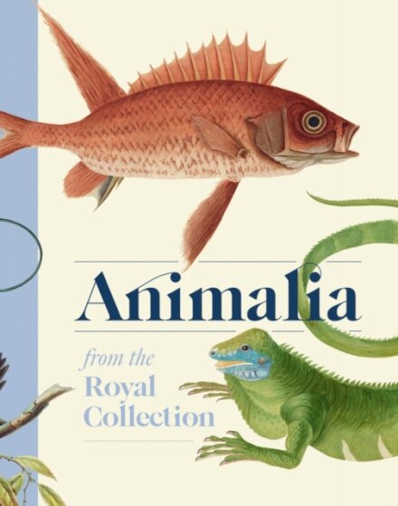 Animalia