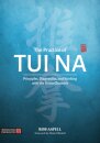 The Practice of Tui Na