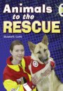 Bug Club Guided Non Fiction Year 2 Gold B Animals to the Rescue