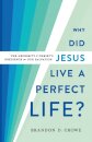 Why Did Jesus Live a Perfect Life? – The Necessity of Christ`s Obedience for Our Salvation