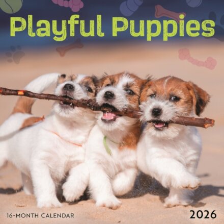Playful Puppies Square Mini Sunday Start