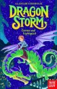 Dragon Storm: Connor And Lightspirit