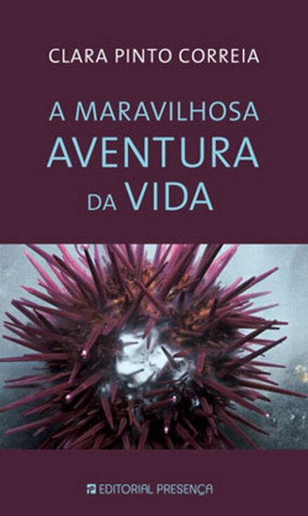 A Maravilhosa Aventura Da Vida