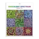 Succulent Spectrum Magnet Set