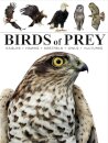 Birds of Prey