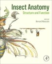 Insect Anatomy
