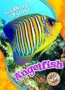 Angelfish