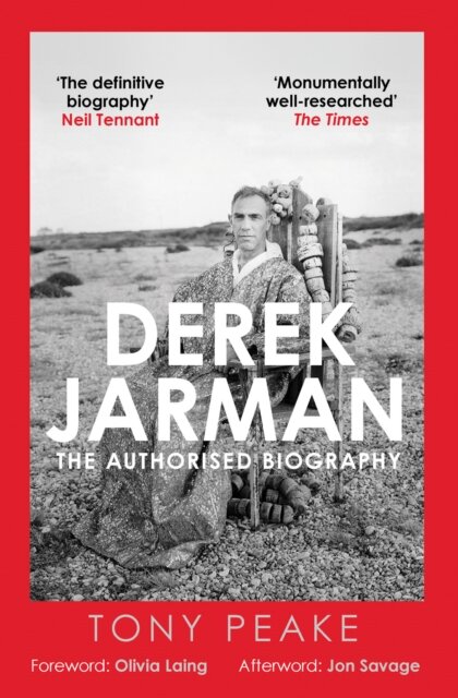 Derek Jarman: The Authorised Biography