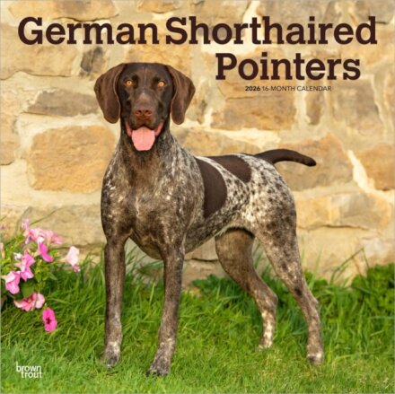 German Shorthaired Pointers 2026 Square Flap Calendar