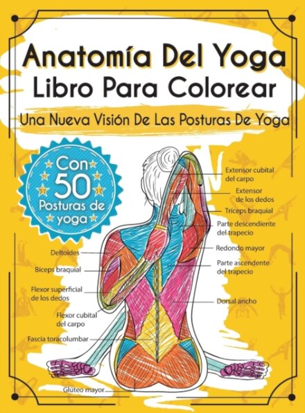 Anatomia Del Yoga Libro Para Colorear