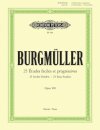 25 Easy & Progressive Studies Op.100