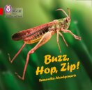 Buzz, Hop, Zip! Big Book