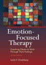 Emotion-Focused Therapy : Coaching Clients to Work Through Their Feelings