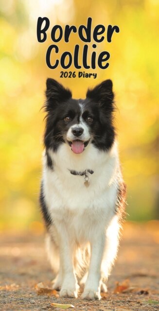 Border Collies Slim Diary 2026