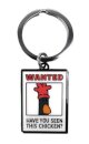 Feathers Poster Keyring