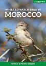 Where to Watch Birds in Morocco