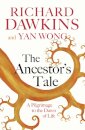 The Ancestor's Tale