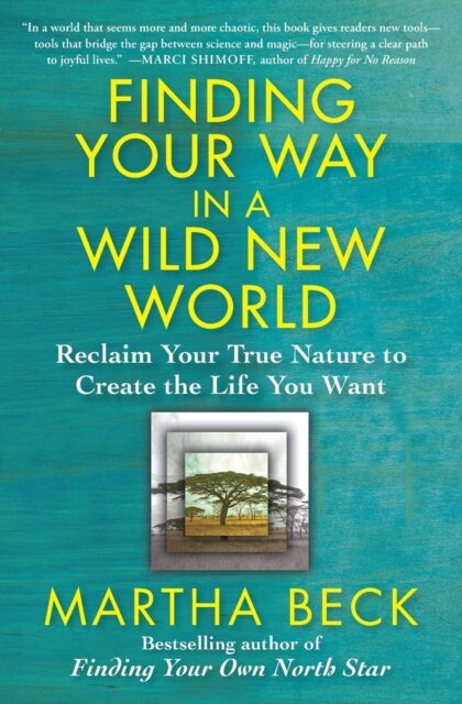 Finding Your Way in a Wild New World