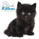 Black Kittens Square Wall Sunday Start C
