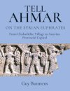 Tell Ahmar on the Syrian Euphrates