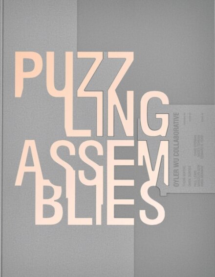 Puzzling Assemblies