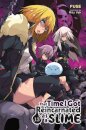 That Time I Got Reincarnated as a Slime, Vol. 13 (light novel)